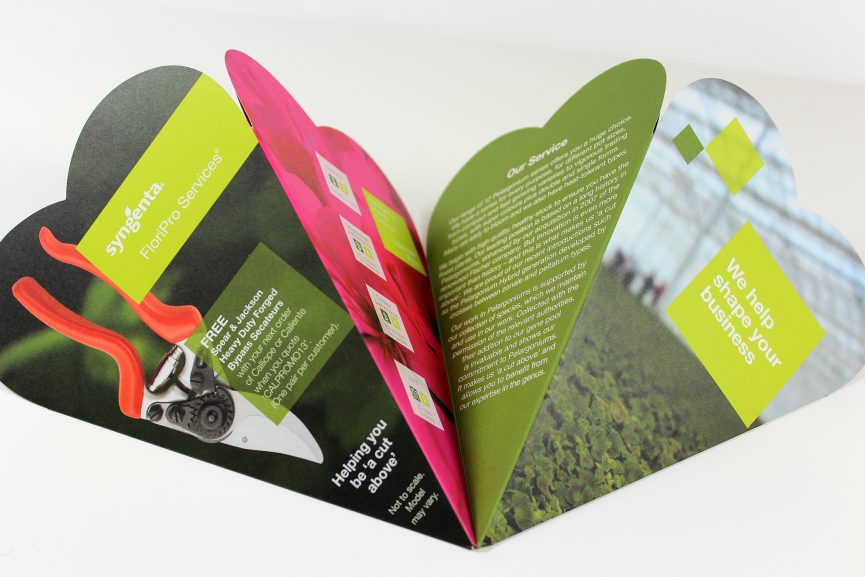 Direct Mail Piece Avenue Printing