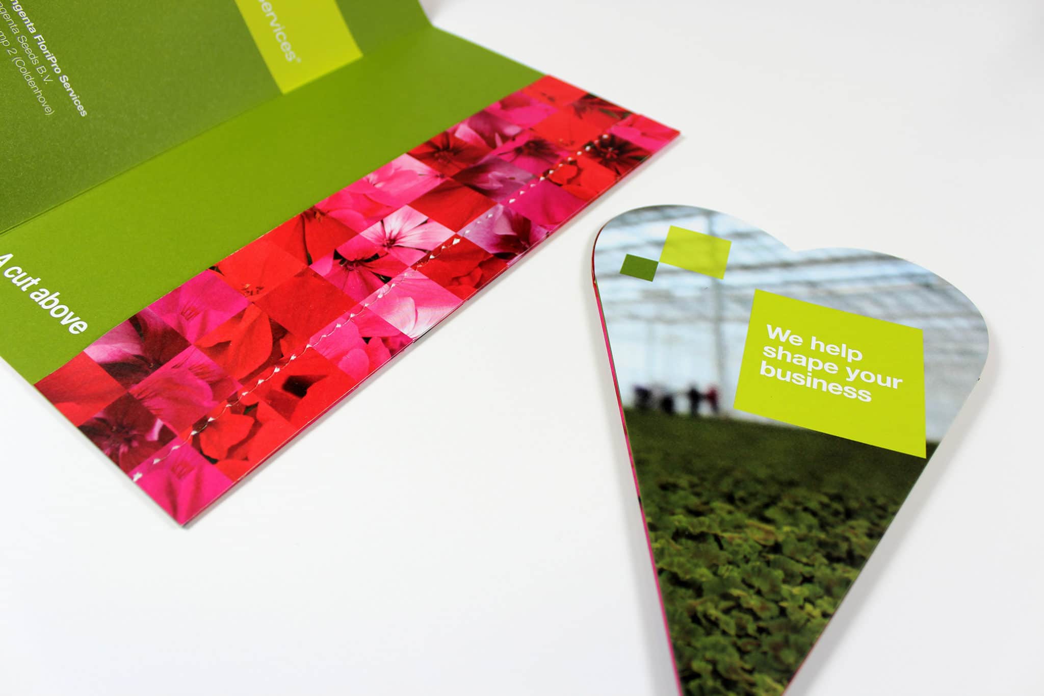 Direct Mail Piece Avenue Printing