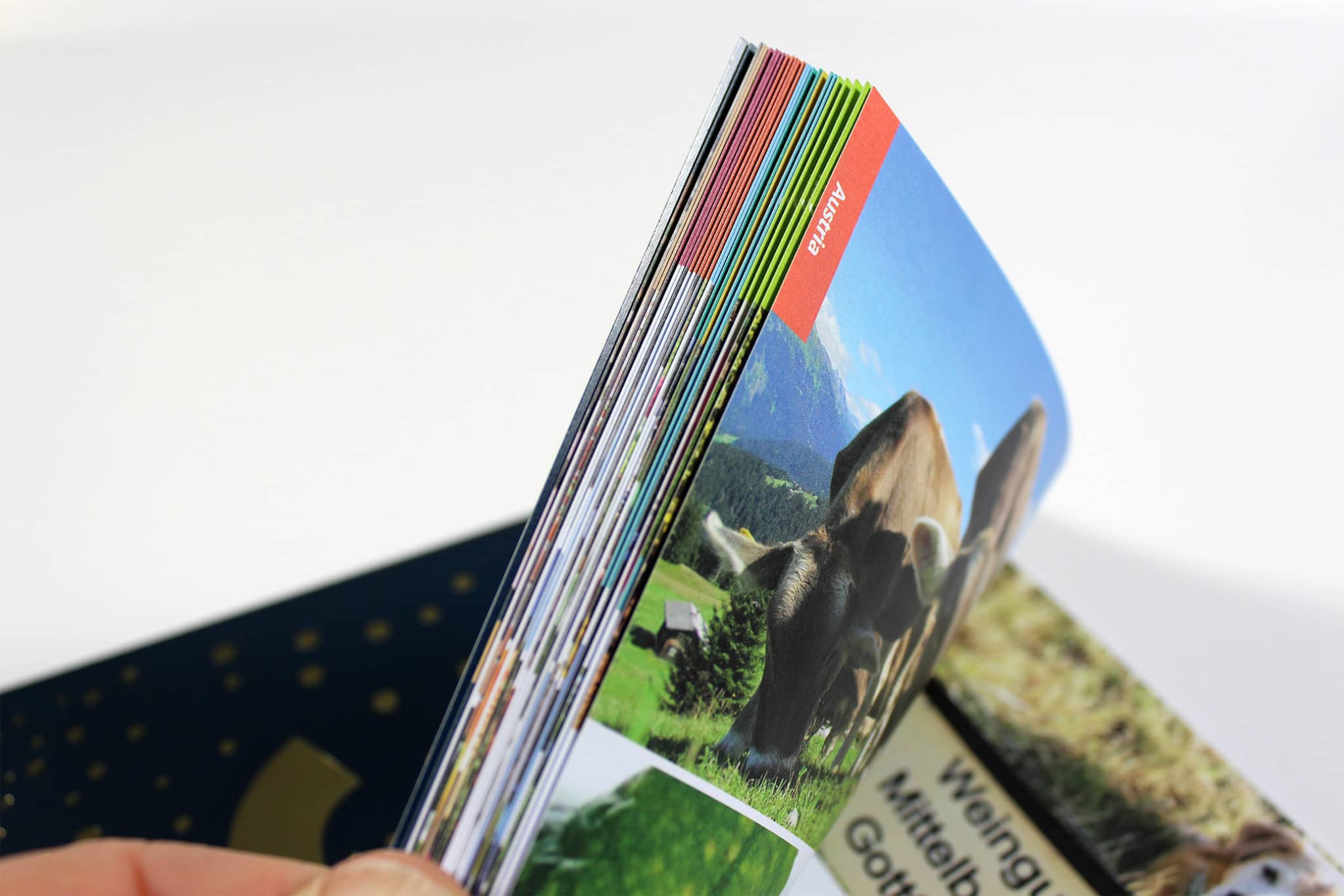 PUR Bound Price List with colour coded sections