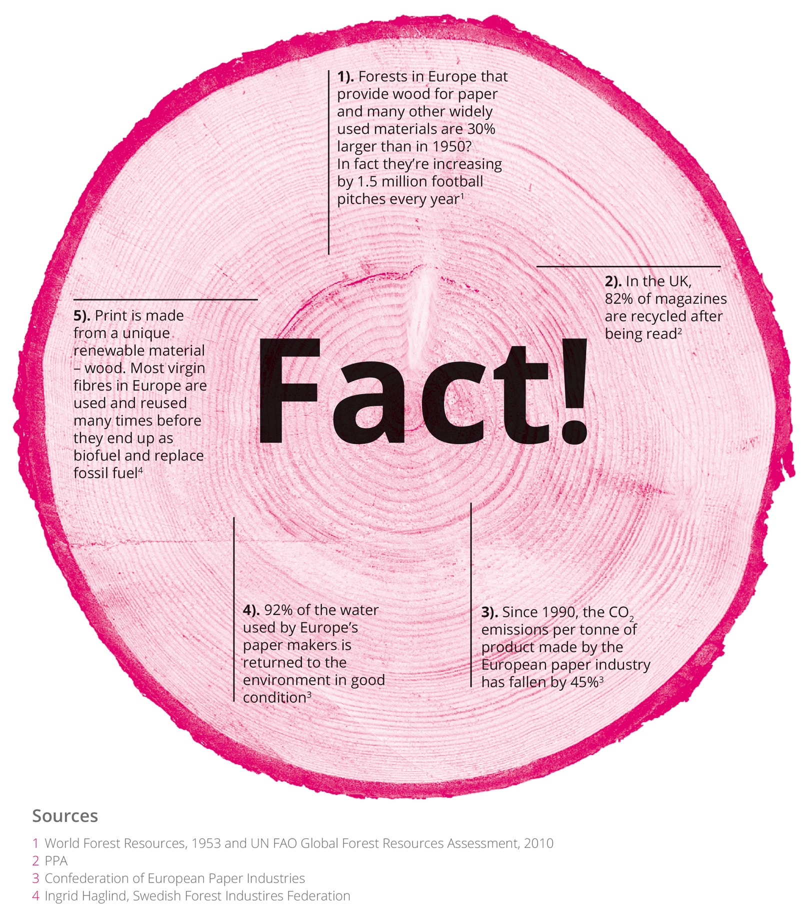 Fact! Cross section of tree trunk showing the circular rings of the tree